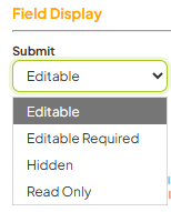 Set Questions Custom Field Display.png
