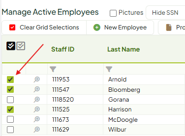 Active Employees Mass Edit.png