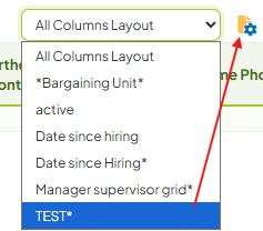 Custom Data Grid Layout Edit.png