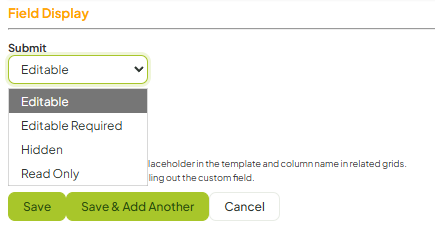 Custom Field Display options.png