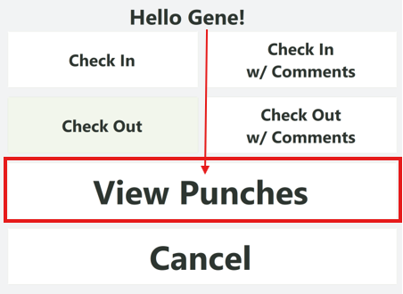 View Punches.png